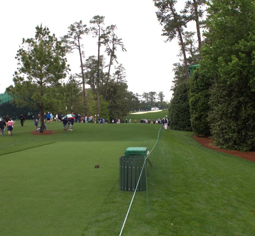 Masters 25 32 copy.jpeg