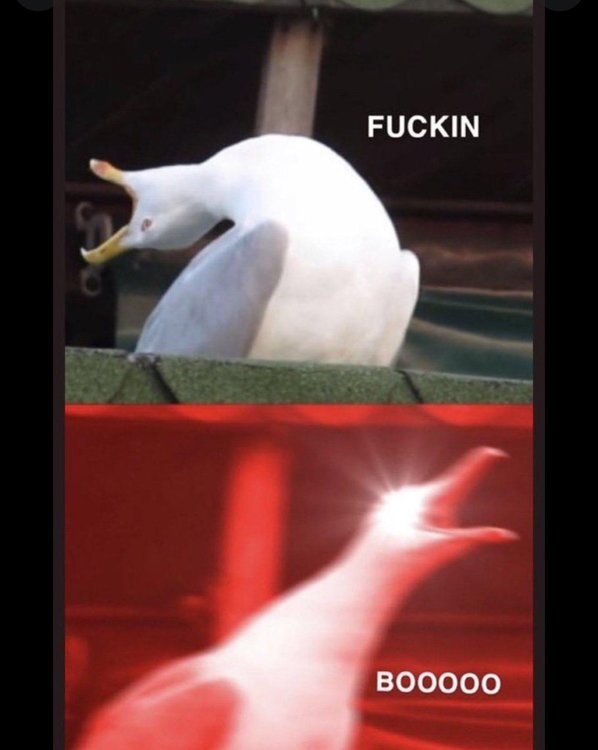 image.thumb.jpeg.968936d02f020358dac2fb46513dadfd.jpeg