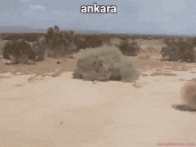 ktg-ankara.gif.2b1c7d7fcee1facfbfc5def9f036c61b.gif