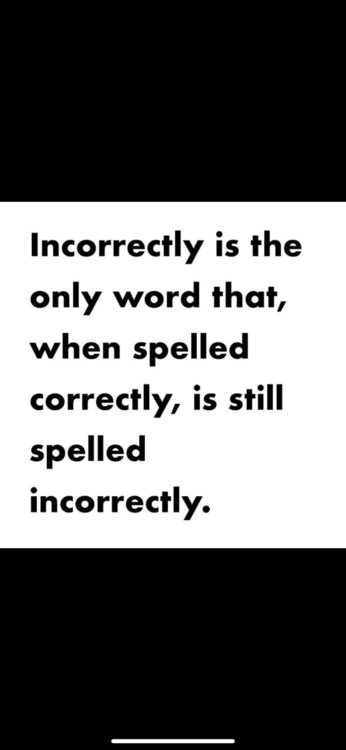 IMG_6577.png