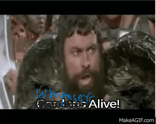 image.png.17b846b55d2172447d4d8fd930467ffc.png