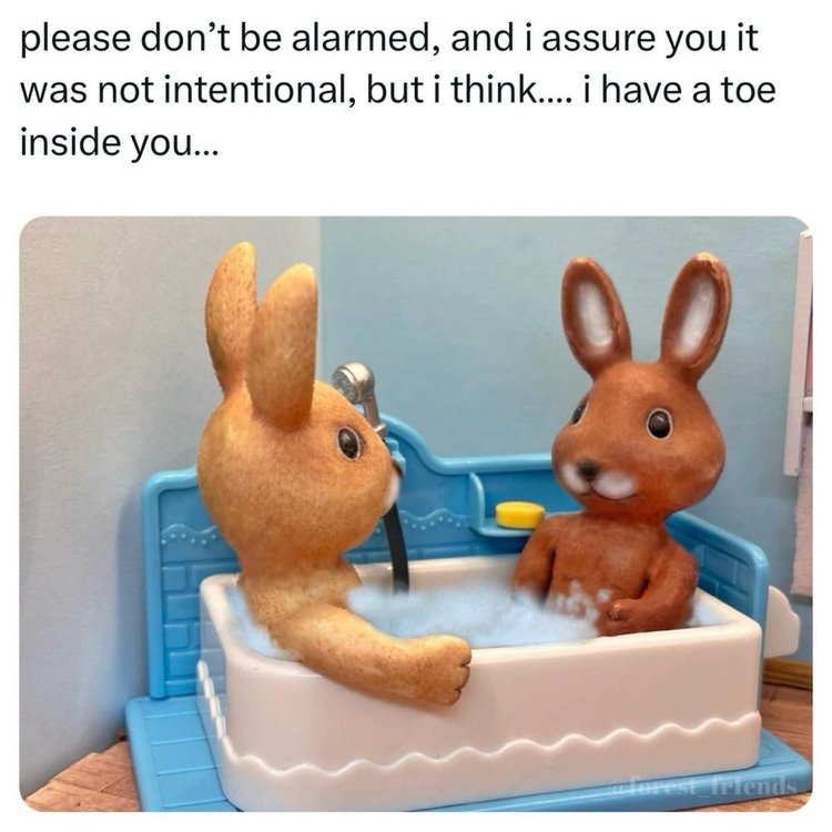 FB_IMG_1753893540689.thumb.jpg.a63c06b108ee50f64035befab2f03f5e.jpg