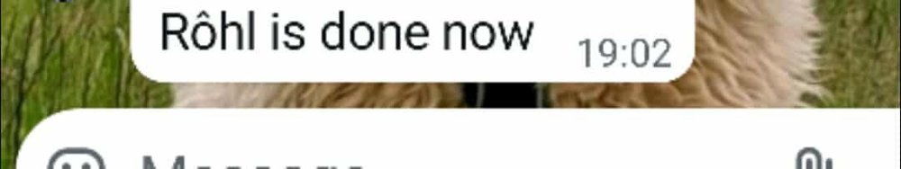 Messenger_creation_24632673226357133.jpeg