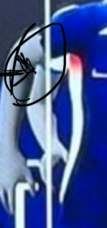 image.thumb.png.432da370df9ee4b48df71b2d51748826.png