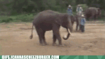 image.gif.fb3d2e920849610d1336d29ae6e478ec.gif