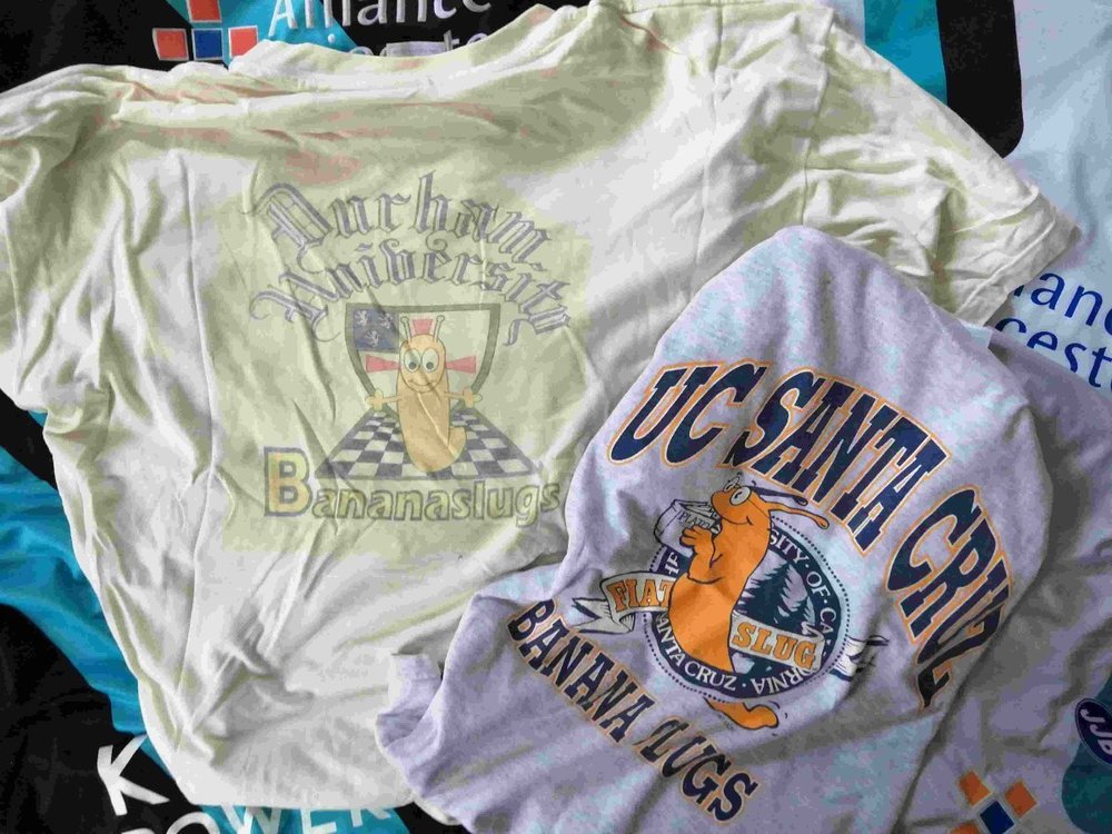 IMG_20250901_132345_compress10.thumb.jpg.1b58b757a0f1fb480f16852c6a054611.jpg