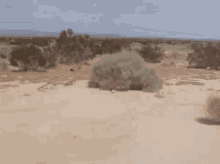 image.gif.f71777479274a22813bb68cc67c9f6bf.gif