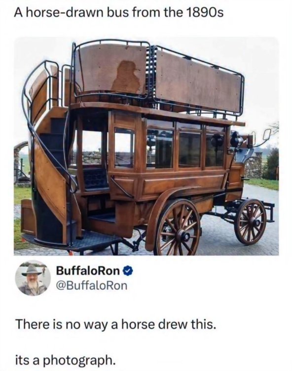 20251010_174353.thumb.jpg.73d4feeb94ae0ddf4e9026a220d3f1ed.jpg