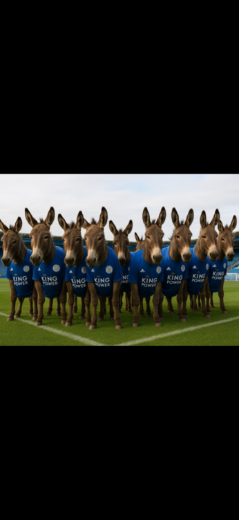 IMG_6865.thumb.png.31951a7cbc170d256efeccaf7dfbc438.png