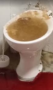 image.jpeg.376f835e03884912deb9be0bb96dc1c1.jpeg