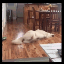 image.gif.492e9ff08b312a6a763ada0eb376b852.gif