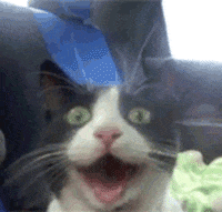 image.gif.f5654247cc770aae9abc78931585c0f6.gif