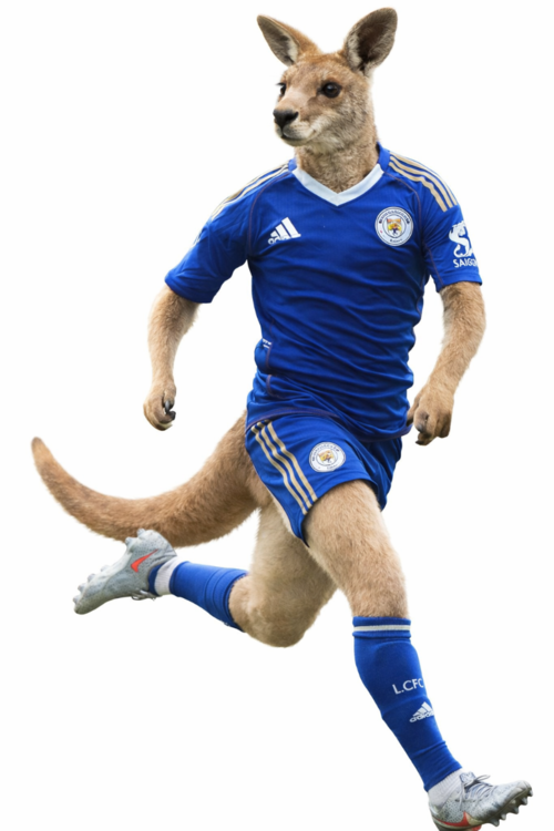 11215142-A05B-40B3-A6F5-528855997F16.thumb.png.422c79beeeacbf1b5f2ff7af5e0a7a9a.png