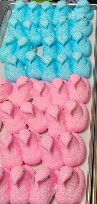 pastelPeepz.PNG.7e0ee8fc15623ece7074180a946f7056.PNG