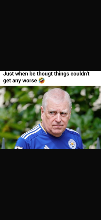 IMG_7389.png