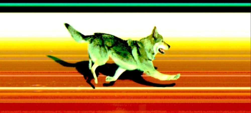 image.thumb.png.75ddba166ab734830e93fdce643e01ea.png