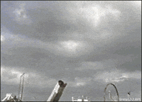 IMG_7237.gif.f6d55f2260c25d8a11258394bc1244d3.gif
