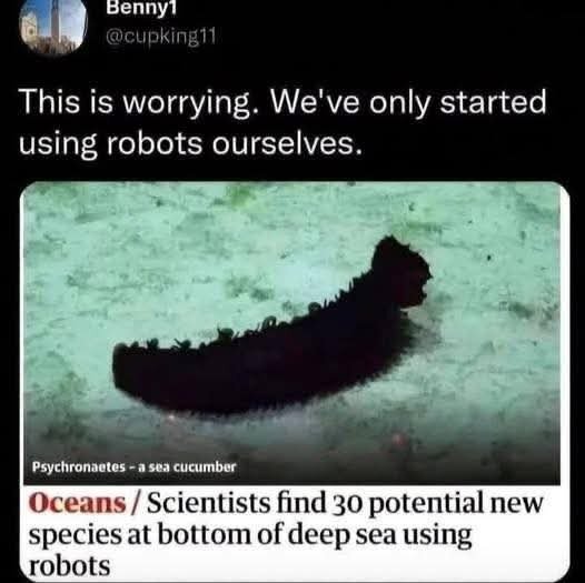 FB_IMG_1779694646681.jpg.0263767c82fe37c84ecbe55ea0276615.jpg