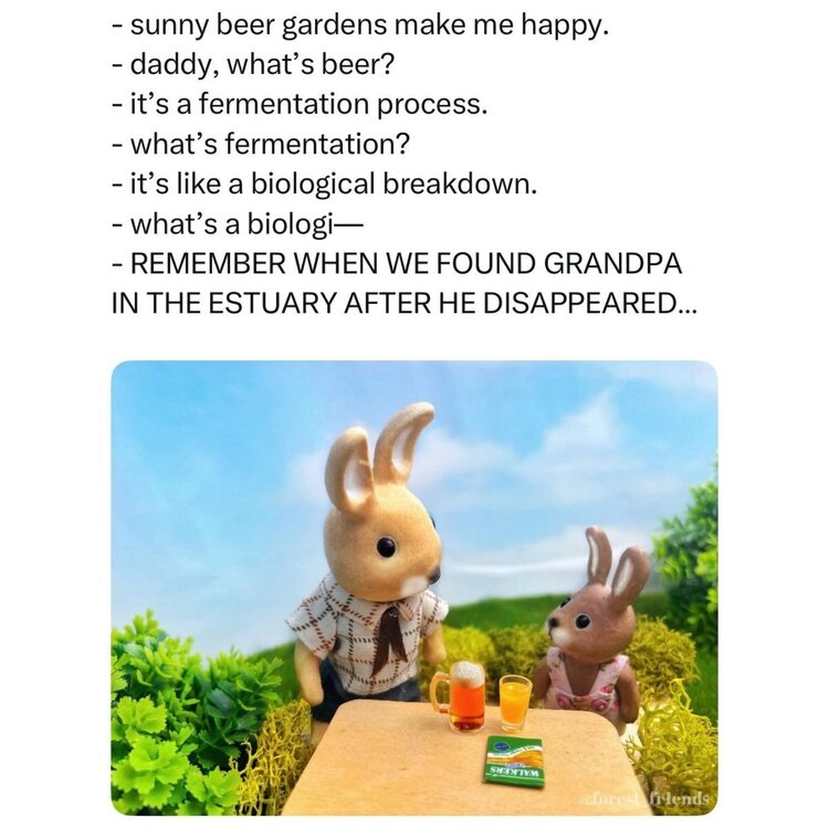 FB_IMG_1779716813104.thumb.jpg.dc63cbabb81bdbd78f98c5108256c651.jpg
