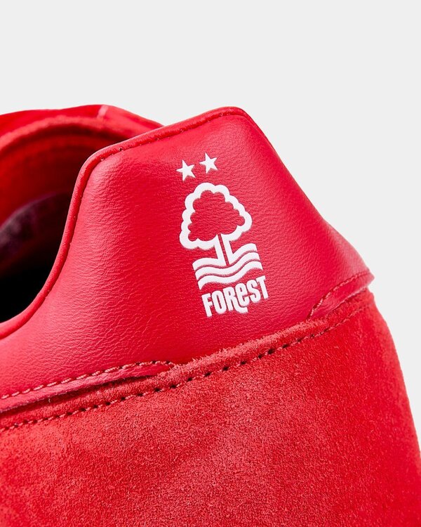 5711-NottsForest-02.06.2613462.jpg