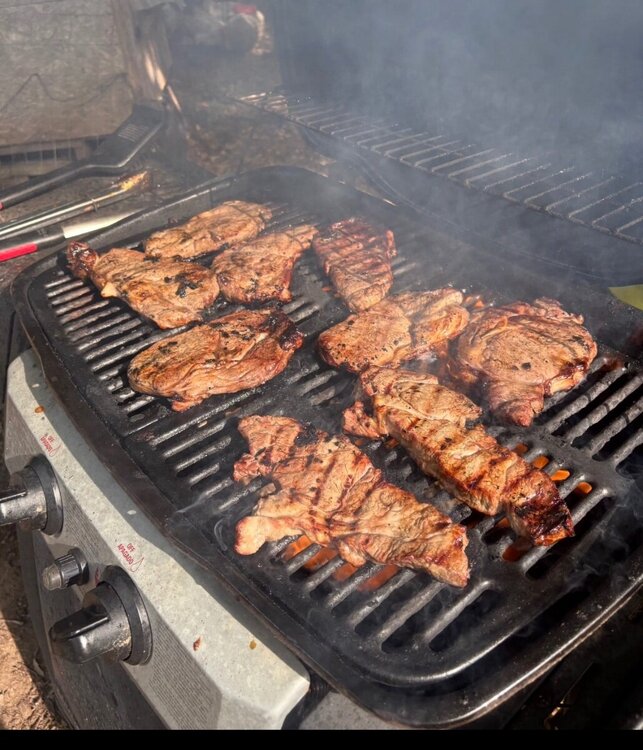 IMG_1397.jpeg