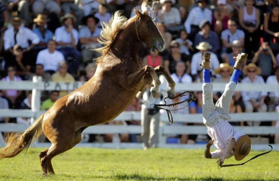 gaucho.JPG.aca29beeaf6bf9071322ddb23ad378a7.JPG