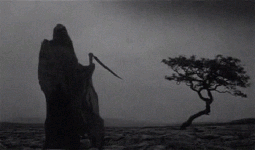 image.gif.39fc166eff7dc927bfade0a38ae0415d.gif