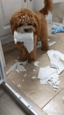 image.gif.b7334865b482fcce3c74997d03e828a6.gif