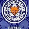 blufox666