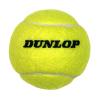 fuzzy_dunlop