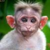 Gary and Alan's Lovechild