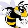 Hornets_Nest