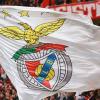 Benfiquista