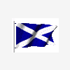 scots dg